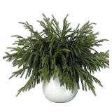 32 Pcs Real Touch Norfolk Pine Branch -18\" Artificial Christmas Green Plants Branches Faux Greenery Stem Fake Cedar Pine Picks for Vase DIY Crafts Garland Wreath Xmas Indoor Outdoor Home Decor