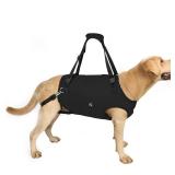 Coodeo Dog Lift Harness, Pet Support & Rehabilitation Sling Lift Adjustable Padded Breathable Straps for Old, Disabled, Joint Injuries, Arthritis, Loss of Stability Dogs Walk (Black, XL)