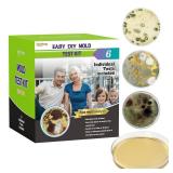 Mold Test Kit for Home Within 6 Individual Tests,DIY Detector at Home,Surface Mold,HVAC,Indoor Air Quality Testing Kits,Black Mold Testing,Includes Detailed Mold Identification Guide and Free Lab