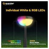 Ensenior Color Changing Solar Lights Outdoor, Auto ON/Off 3000K White Light & RGB LED Solar Garden Lights, Halloween Christmas Landscape Lighting, IP65 Waterproof, Flag Lights, 8-Pack