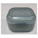 Argomax Denture Bath Case