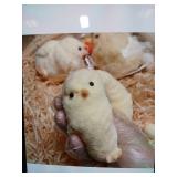 Sinikoro Handmade Squishy Fidget Chicken (Design May Vary)