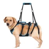 Lafoty Dog Lift Harness for Large Male Dogs, 2-in-1, Back Leg Support & Mobility Assistance for Senior Dogs, Post-Surgery Recovery Sling(Black, Large)