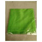 Silk Green Scarf