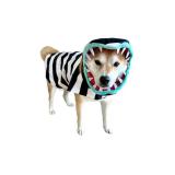 Snake Costume for Dogs - Small Medium Large XLarge XXL Cosplay Halloween Costumes Christmas, L - Retail: $30