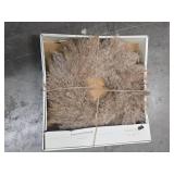 Pampas Preserved Wreath - Threshold