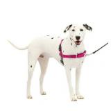 PetSafe Easy Walk No-Pull Leash Training Dog Harness  Medium/Large  Raspberry