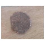 Ancient Roman Coin