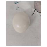 Clay Amphora with Iron Stand and Egg Shells