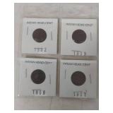 (4) 1900s Indian Head Penny Collection 1902-1907
