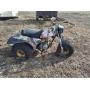 North Wichita Auction - 3 Wheeler, Coins, Tools, Ammo, Jewelry, New Items and Much More