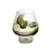 2 Pounds Natural Decorative Real Sand for use in Crafts, Decor, Vase Filler and More | Natural and Non-Toxic, Fun Wet and Dry Indoor and Outdoor, Sandbox, Therapy, and Table Use.