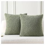 FUTEI Sage Green Throw Pillow Covers 16x16 Inch Set of 2,Furry Faux Fur Teddy Boucle Textured Cushion Covers,Soft Fluffy Decorative Pillow Case,Home Decor for Couch Bed Living Room Office Car