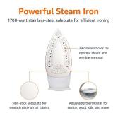 Amazon Basics Steam Iron for Clothes with Safety Auto Shut-Off, Handheld Steamer, Steel Soleplate, 1700-Watt, 1.62ft, Gray