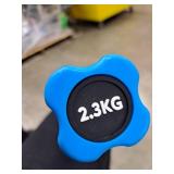 Yes4All Total Body Workout Weighted Pilates Bar, Body Bar For Exercise, Therapy, Aerobics, and Yoga, Strength Training, 5lbs