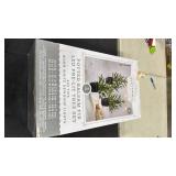 3pc Pre-lit Potted Balsam Fir Mini Artificial Christmas Tree Set Warm White Lights - Wondershopâ¢: LED, Timer, Indoor/Sheltered Outdoor - Retail: $115