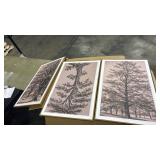 HOURIA Vintage Tree Sketch Framed Canvas Wall Art Set,Natural Brown and Gray Woodland Wall Decor,Mid Century Nature Forest Artwork,Textured Botanical Art Print for Living Room,Bedroom,Office-24\"x36\"