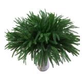 18 Real Touch Norfolk Pine Stems for Christmas Decoration, Artificial Pine Branches Greenery Stems for Vase, Christmas Picks for Xmas Tree,Wreath,Table,Planter,DIY Home Decor (12 Pcs Pine Branches)