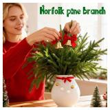 DERJLY Multi Pcs Christmas Norfolk Pine Branches: 18 Inch Artificial Faux Realistic Real Touch Greenery Cedar for Vase DIY Craft Garland Wreath Indoor Home Decorations