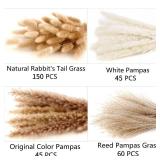 300 PCS Dried Flower Bouquet Pampas Grass, Floral Decor for Home, Wedding, and Boho Style | Perfect for Vases, Fall, Spring, Summer, and Winter Arrangements