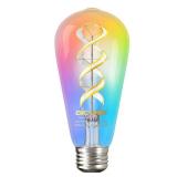 DiCUNO Smart Edison Bulb ST19, Color Changing WiFi Smart Light Bulb, 2700K-6500K Tunable via App, ST58 Edison Bulb, Compatible with Alexa & Google Home, 5W (50 Watt Equivalent), 500lm, 1-Pack