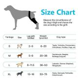 BaoGuai Dog Knee Brace Pro, for Dogs ACL, Luxating Patella,Dog Hip Brace for Back Leg - Keeps The Joint Warm and Stable - Extra Support - Reduces Pain S