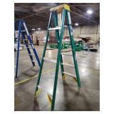 Werner 6ft Fiberglass Step Ladder (Model 5906)