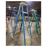 Werner 6ft Fiberglass Step Ladder (Model 6006)
