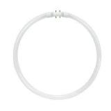 Lots of 12 - Satco 55 watt; T5; Circline Fluorescent; 3500K Neutral White; 82 CRI; 2GX13 (4-Pin)