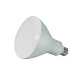 Ditto LED Bulb 165W 120V BR40 E26 Dim S9639 (12 Bulbs)