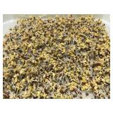 Pack of 150 pcs Germinating Growing Paper Seed Sprouter Vegetable Microgreens Planting Paper 7.8" x 11.4". Fit For Plant Germination Tray (13.4"x 9.8") Trays NOT Included