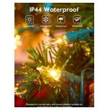 Brightown Clear Christmas String Lights 50 Count 12 Feet Incandescent Bulb Mini Lights for Indoor Outdoor Xmas Tree Garland Birthday Wedding Party Festival Decoration, Green Wire