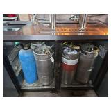True Commercial Beer Keg Cooler/Dispenser Unit | Model TDD-2CT-HC