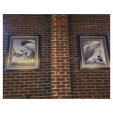 Framed Aircraft Photography Set