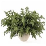 MISSPIN 12 Pcs 21.5 Inches Christmas Cedar Branches, Cedar Artificial Christmas Branches DIY Crafts Faux for Xmas Indoor Outdoor Home Decor