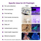 COSOOS 2 Pack UV Flashlight, 12 LED Handheld Blacklight Flashlight 395nm Mini Light Torch Detector for Dog Pet Urine Stains, Bed Bugs and Scorpions. (Batteries not Included)