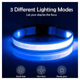 Vizpet LED Dog Collar, Light Up Dog Collar Adjustable USB Rechargeable Super Bright Safety Light Glowing Collars for Dog(Large,Blue)