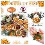 Amyhill 10 Pcs Christmas Dried Orange Slice Ornaments Handmade Rustic Christmas Tree Decorations Natural Beaded Pine Cones Cinnamon Scented Sticks Vintage Velvet Ribbon for Farmhouse Crafts