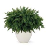 Wsorik 18 Inch Real Touch Cedar Branches - 12 Pcs Artificial Christmas Plants Branches, Faux Greenery Pine Stems Fake Cedar Picks for Vase DIY Crafts, Christmas Pine Branches for Home Indoor Decor