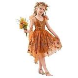 LalaMira Embroidered Orange Tulle Party Dress 10yr