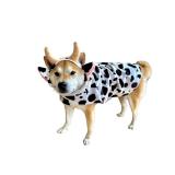 ComfyCamper Cow Print Costume for Dogs - XXL Large Highland Animal Cosplay Halloween Costumes Christmas, XL
