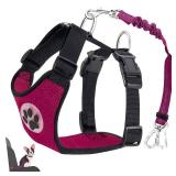 Lukovee Dog Seat Belt for Car, Adjustable Dog Car Harness for Large Medium Small Dogs, Soft Padded & Breathable Mesh Dog Seatbelt with Car Strap and Carabiner(Rose Double Clip,X-Small)