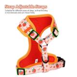 Dog Harness and Leash Set, Adjustable Dog Harness, Dog Leash, No Pull No Choke Puppy Harnesses for Walking Training for Small Medium Pet