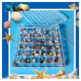 FUFenZHEN Seashell Display Box, 32 Grids Acrylic Magnetic Seashell Display Collecting Box, Transparent Seashell Storage Cases for Shell, Bead, Jewelry (M-32 Cells, Rectangular) 5pk