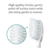TAO Clean Sonic Electric Toothbrush Replacement Heads (3-Pack) â Replacement Heads for the TAO Clean Electric Toothbrush and Docking Station, White