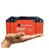 ECO-WORTHY Portable 12V Lithium Battery, 12.8V 20Ah Lithium Iron Phosphate DEEP CYCLE BATTERY, Built-in BMS, 4000+ Cycles, Perfect for Outdoor Camping Fishing RV Marine Trolling Motor Fishfinder