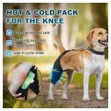 Dollephi Dog Knee Brace for Torn ACL Hind Leg, Hot/Cold Compress for Patella Dislocation or Osteoarthritis, Cruciate Ligament Injuries, for Medium & Large Dogs,Patent Pending(Right Leg,XL)