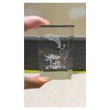 3D Dolphin Scene Paperweight