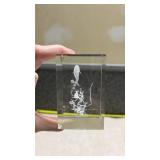 3D Dolphin Scene Paperweight