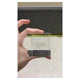 3D Dolphin Scene Paperweight